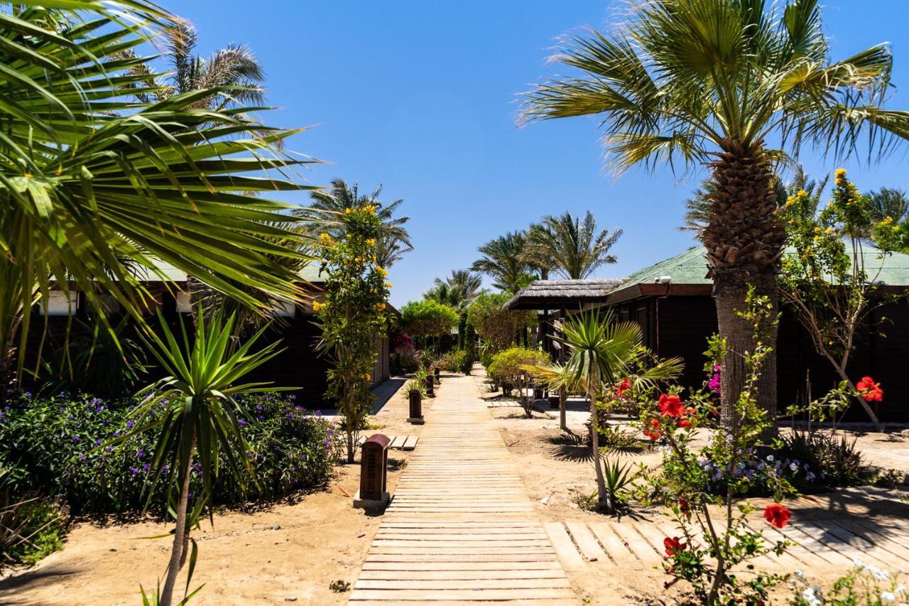 Abu Dabbab Lodge Exterior foto